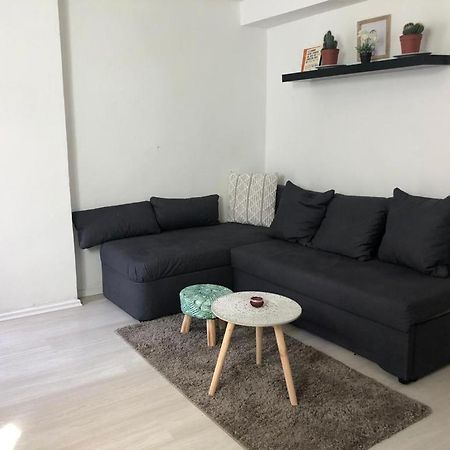 Bescheidene Untergeschoss Wohnung In Guter Lage. Cologne Exterior photo