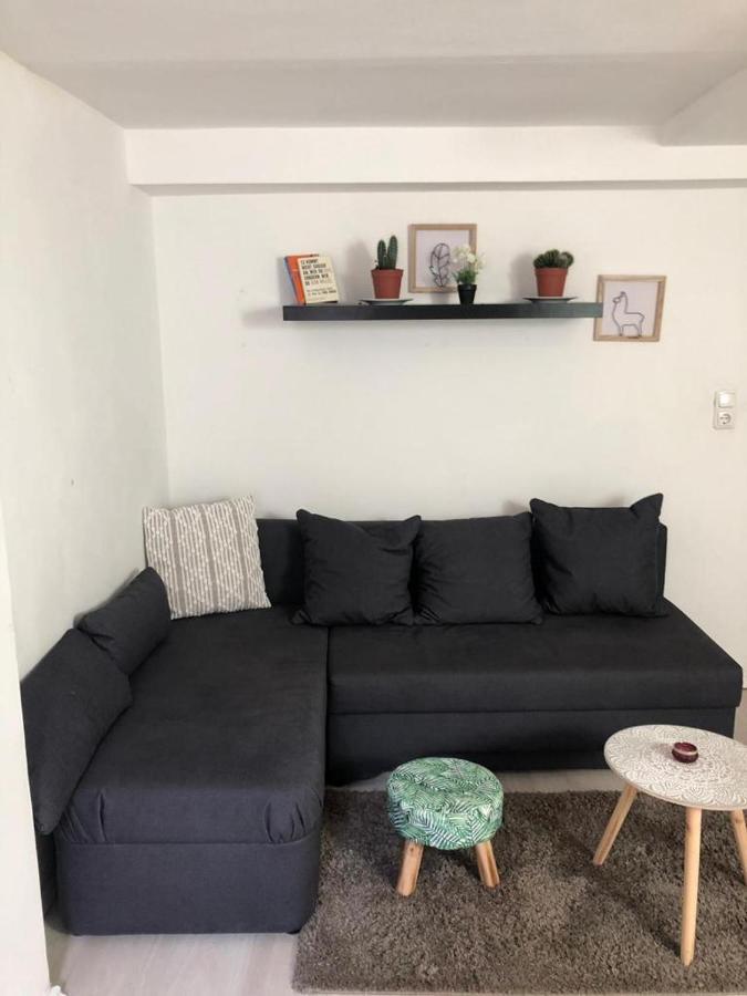 Bescheidene Untergeschoss Wohnung In Guter Lage. Cologne Exterior photo