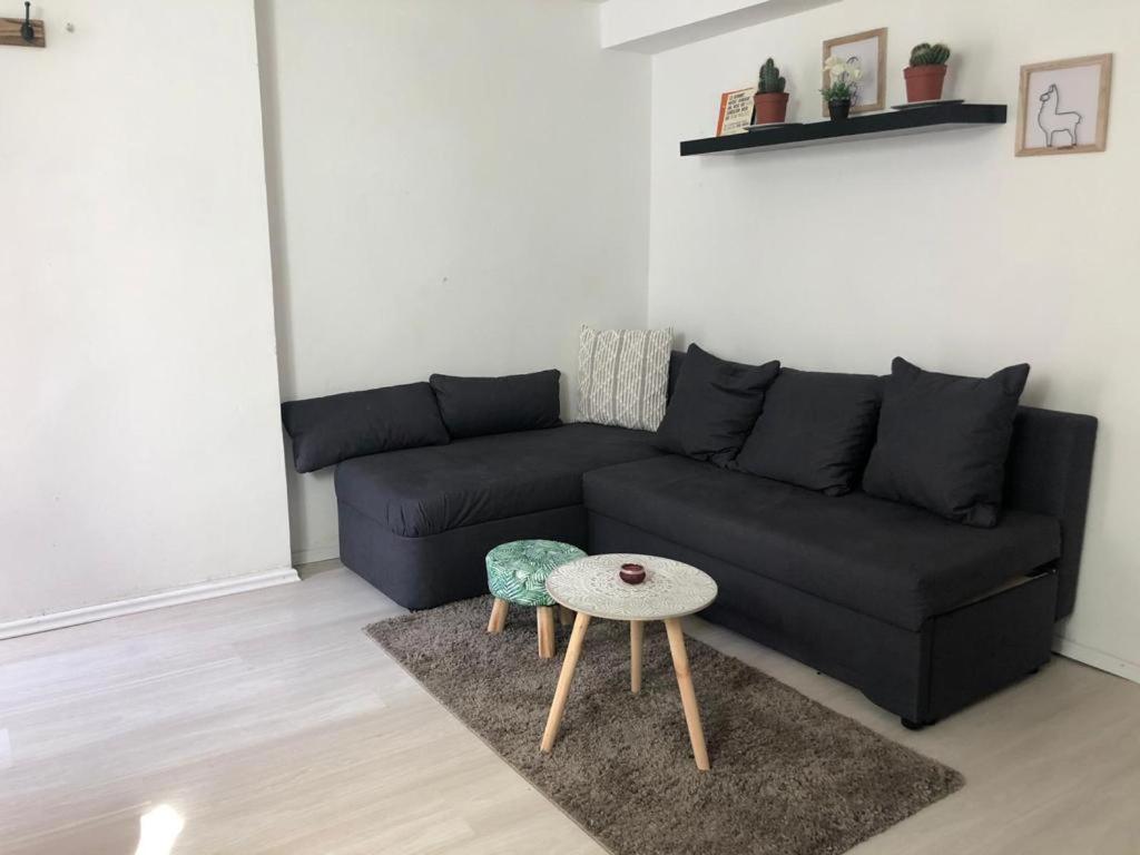 Bescheidene Untergeschoss Wohnung In Guter Lage. Cologne Exterior photo